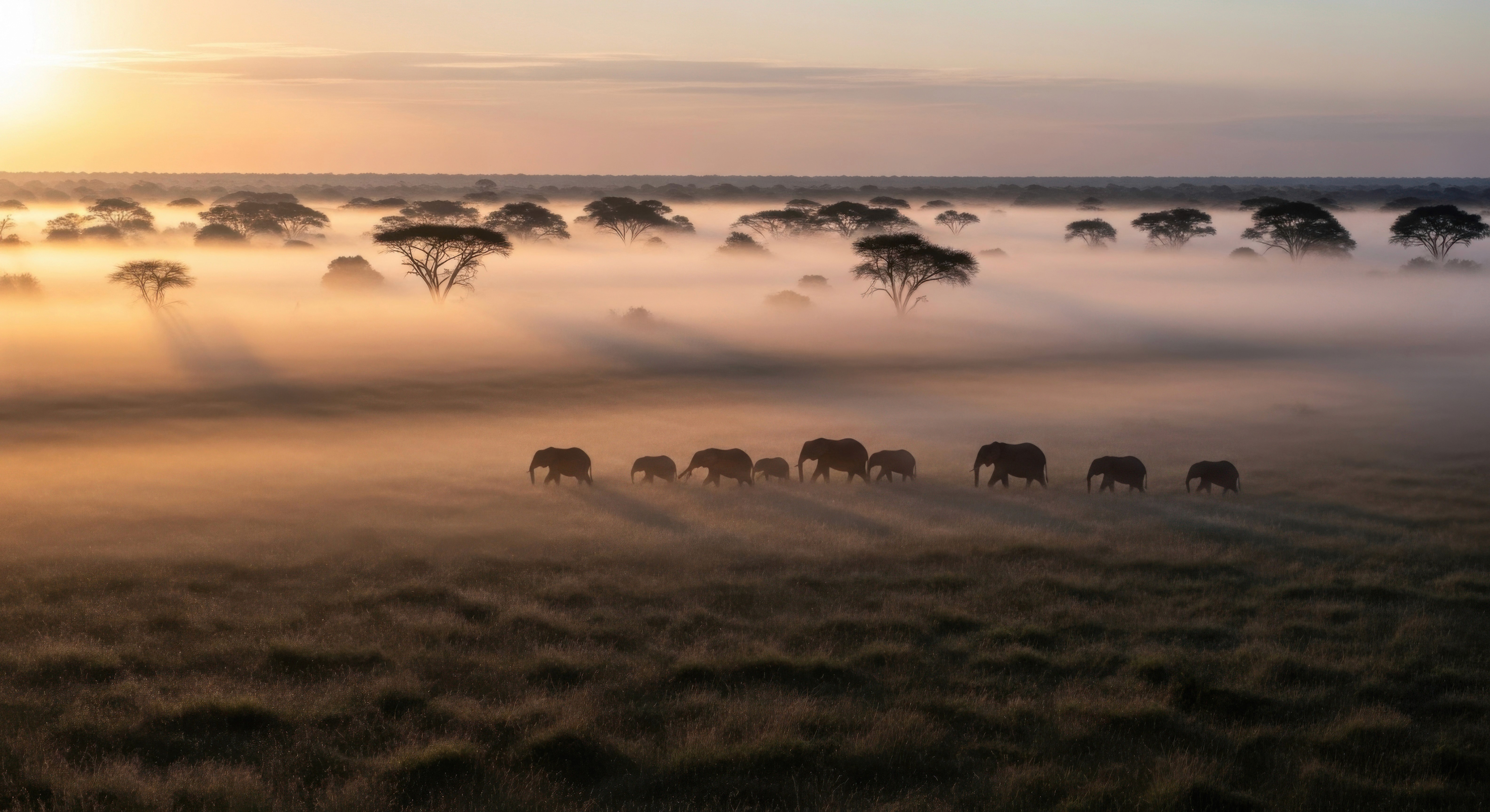 a black and white living room with a large tv