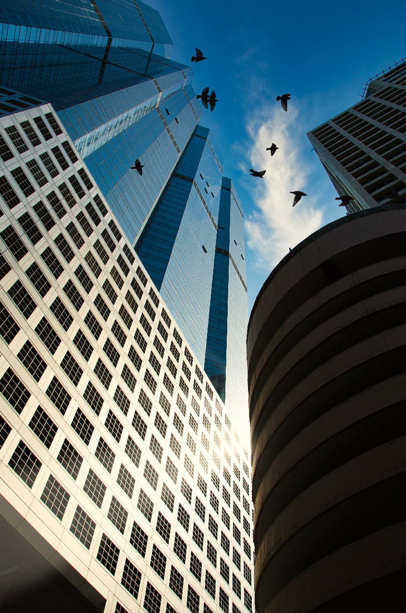 Un gratte-ciel de bureaux, avec un vol d'oiseaux dans le ciel