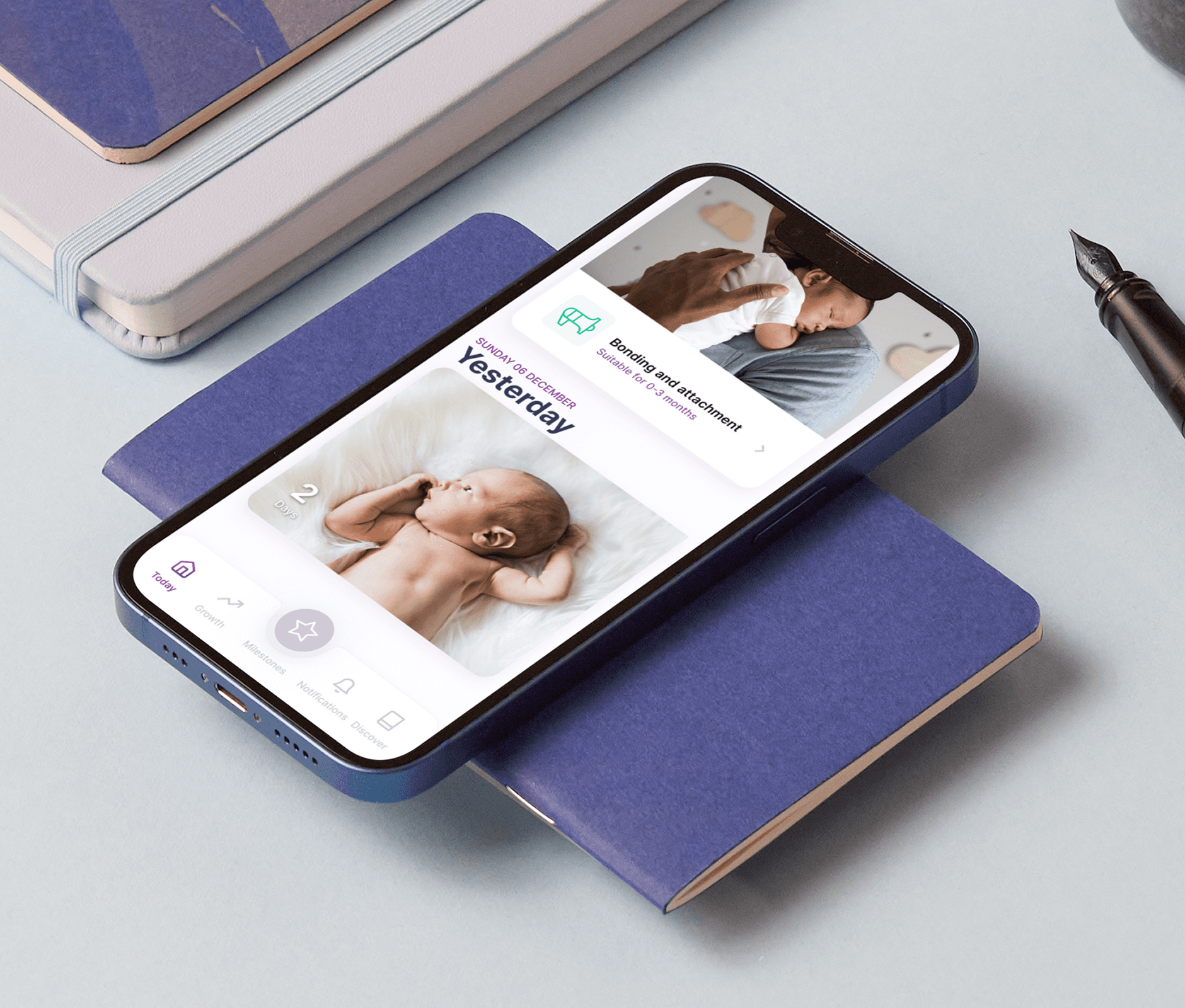 Large Project Gallery Image #3