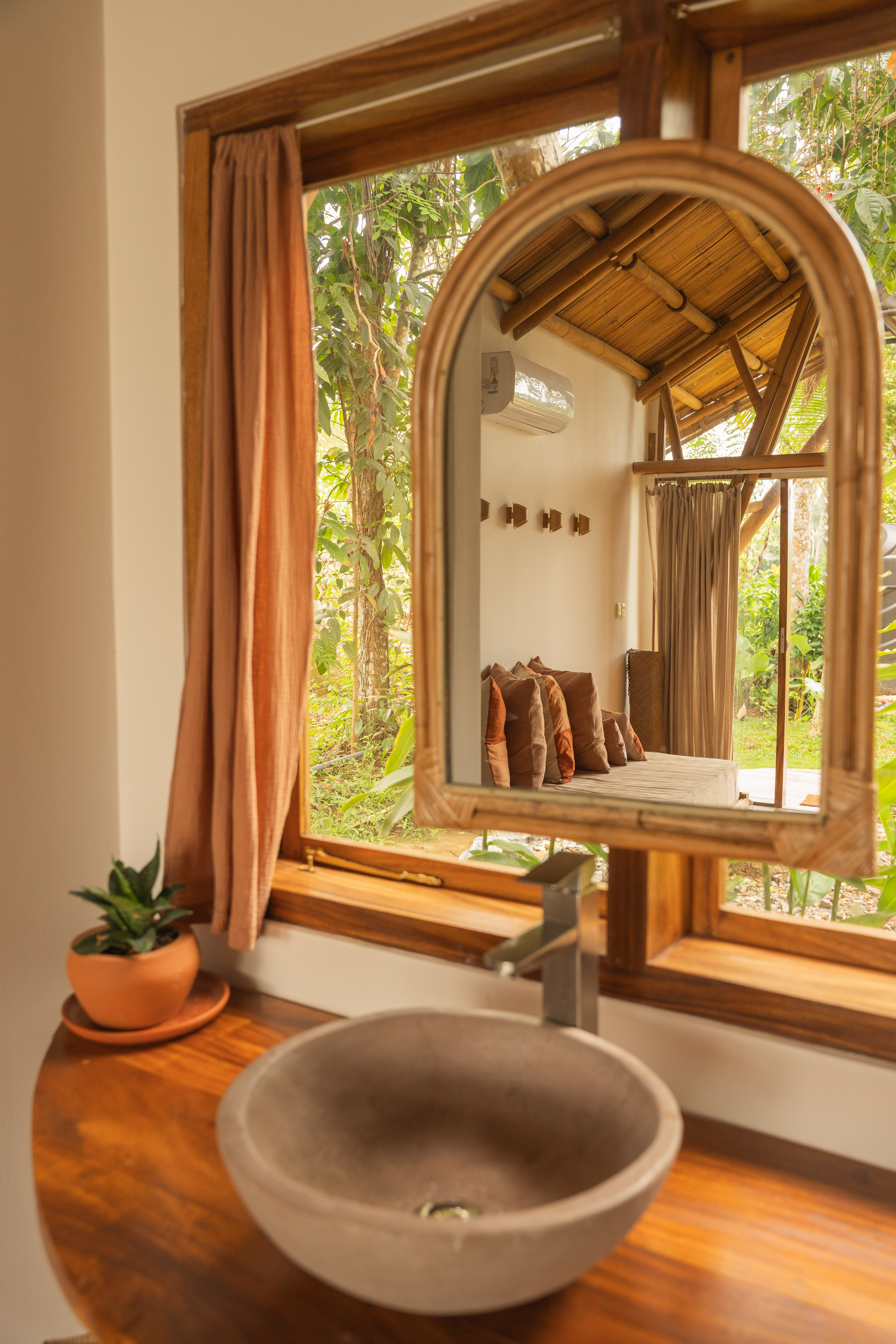 Big tree in the jungle