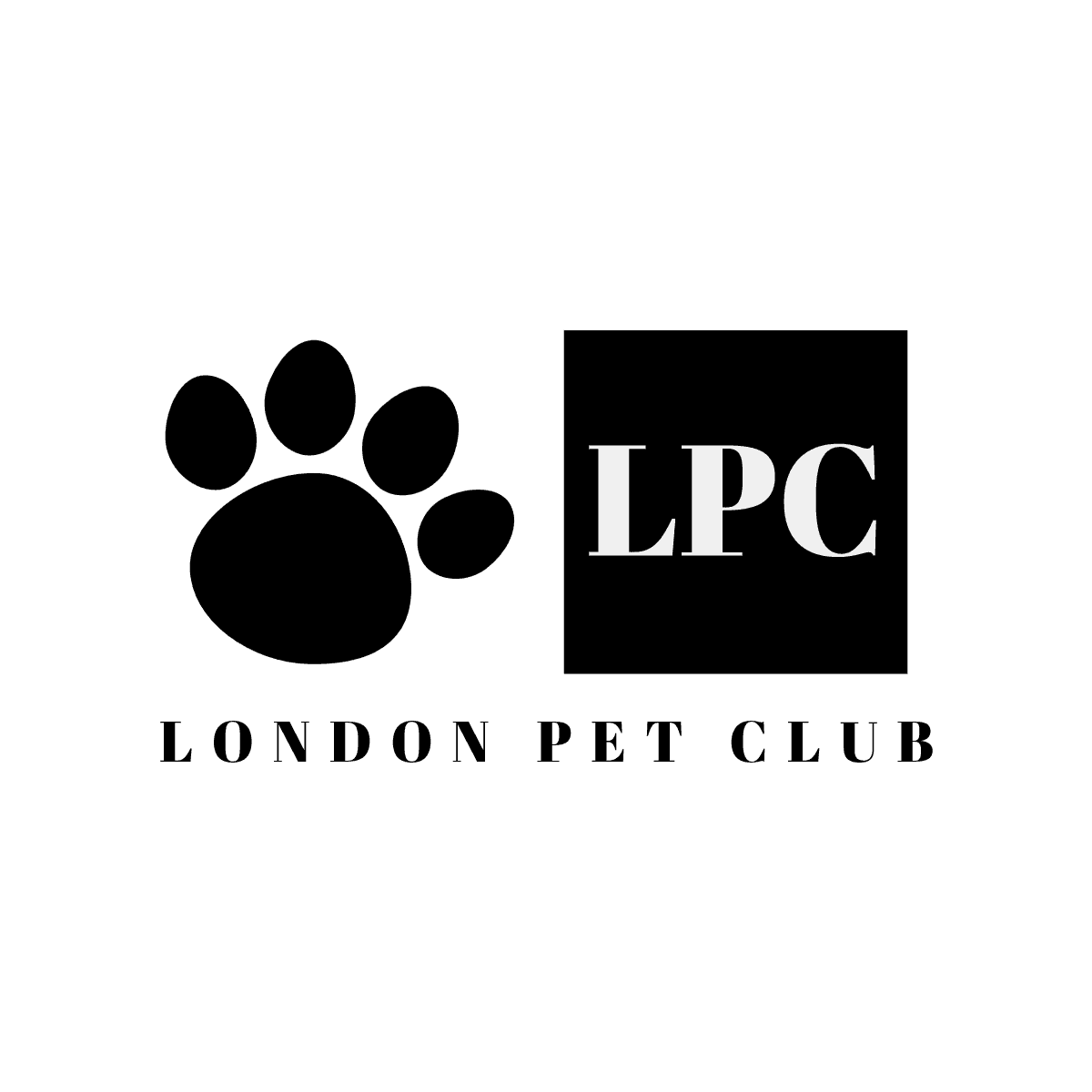 Premium UX Template for Framer