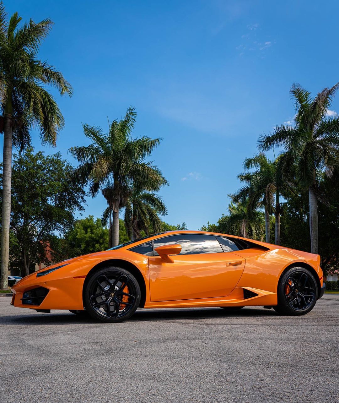 Bright orange luxury sports car, freshly detailed, parked in a sunny Southwest Florida setting with palm trees and a clear blue sky.