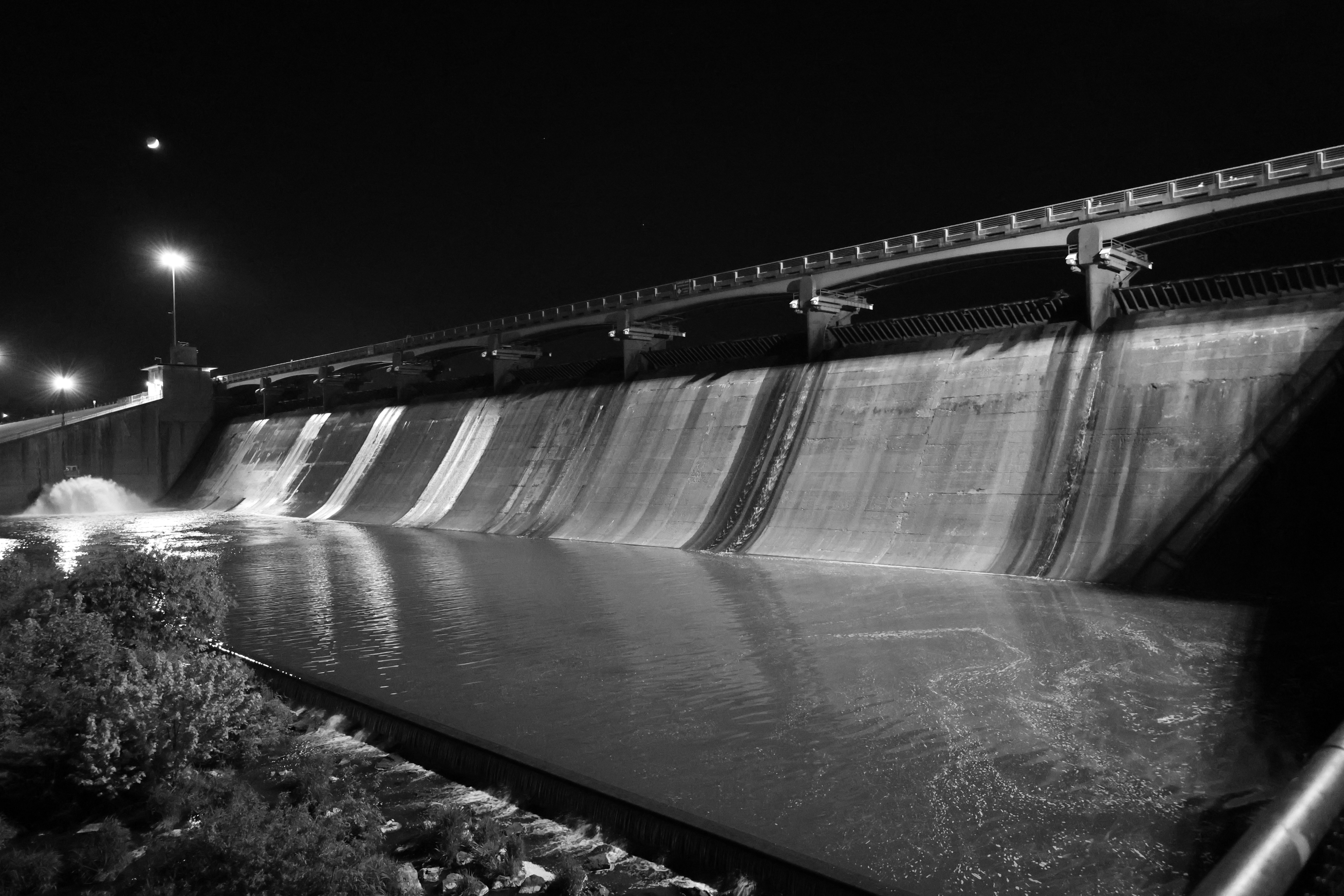 aerial view of green trees and brown buildings during daytime