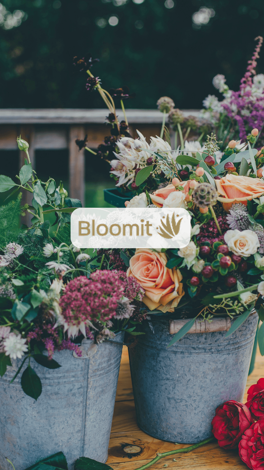 Bloomit case study