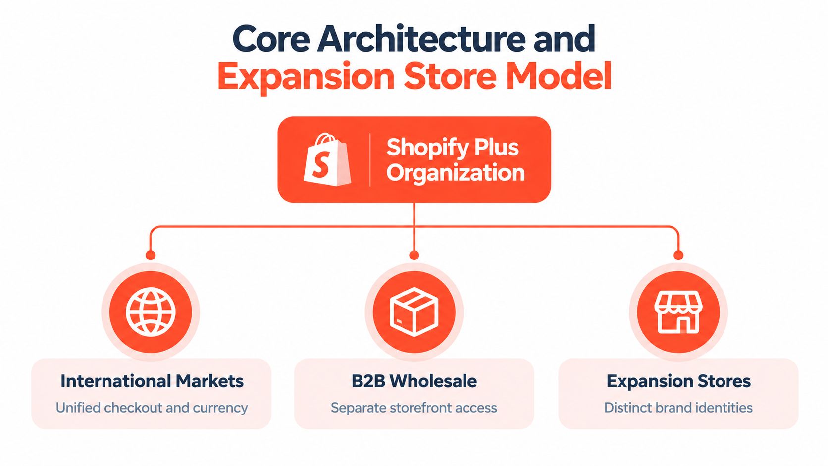 A diagram illustrating the Shopify Plus Organization architecture with three expansion models for international markets, wholesale, and stores.