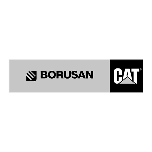 Boran Cat