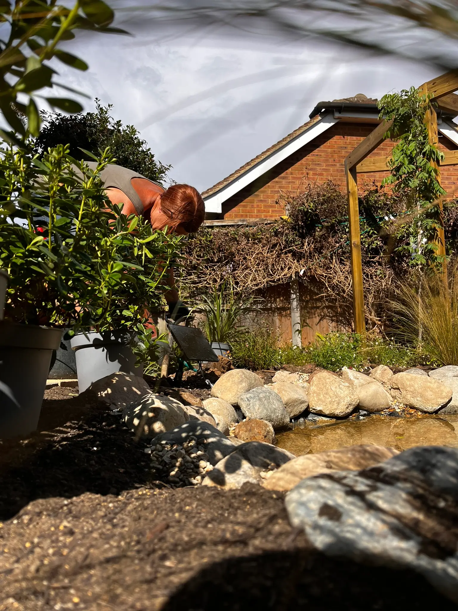 A garden scene featuring plants and a glimpse of a building in the background under a cloudy sky.