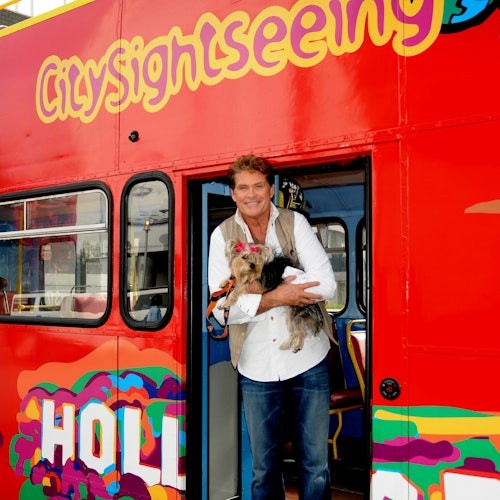 1-Day Hop-on Hop-off Bus