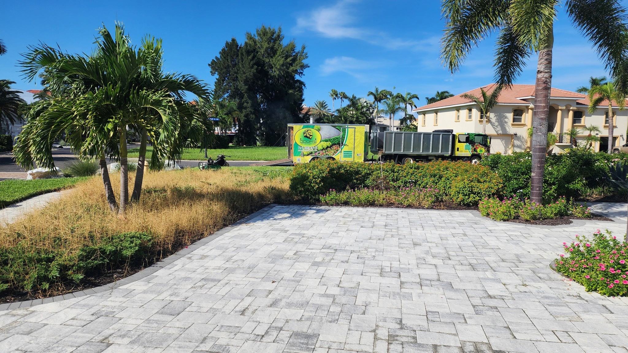 Free Framer Template - A cozy interior of a cafe with wooden tables, chairs, and potted plants, creating a warm atmosphere.