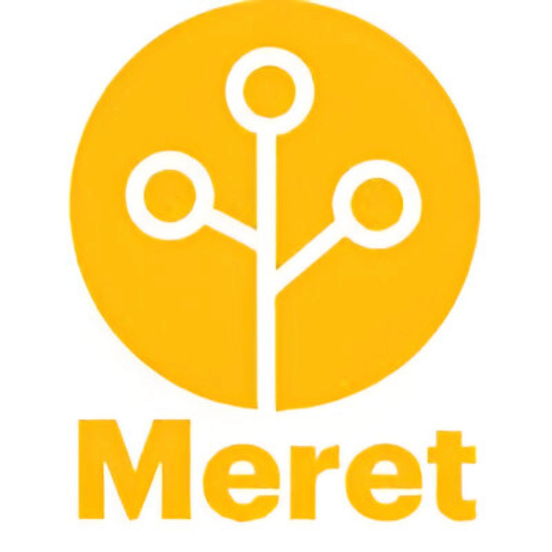 Meret Solutions logo