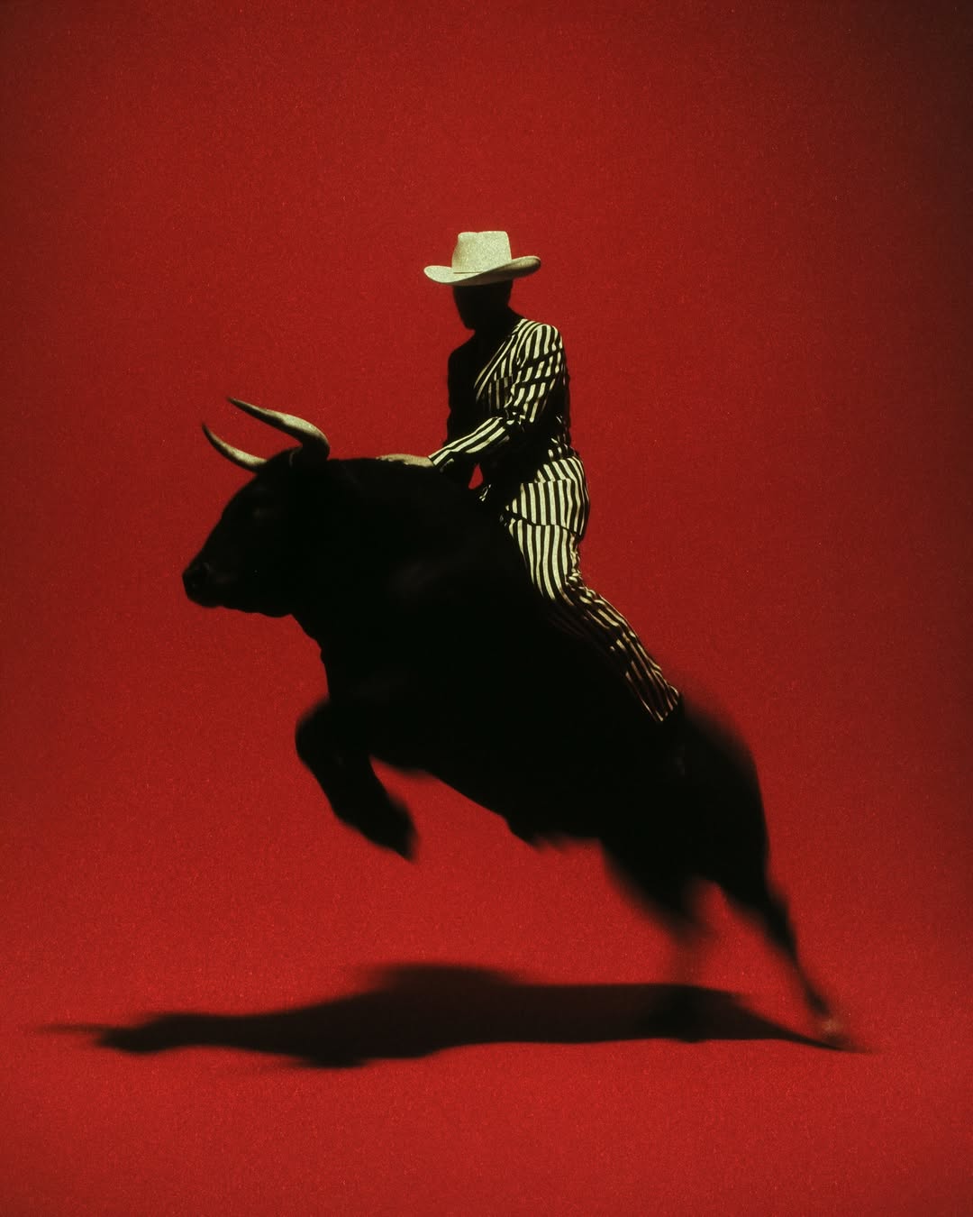 Projects by David Carlo Art Director Aesthetics