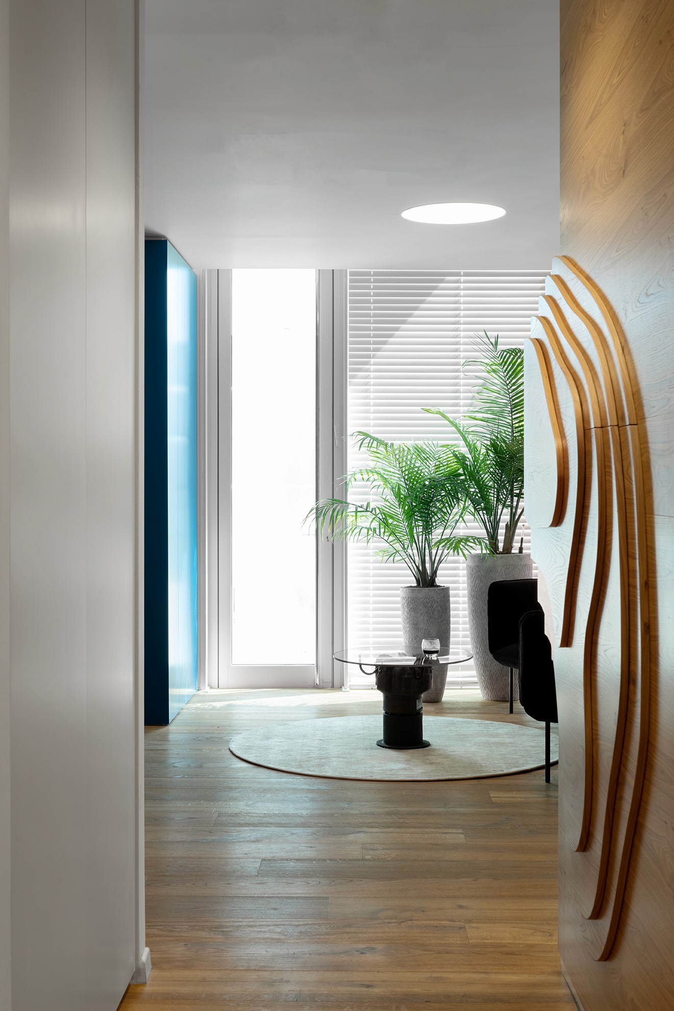 השתקפויות וטקסטורות: מבט מהמסדרון אל עבר המשרדים, המציג את השילוב בין קיר העץ הטופוגרפי לבין המחיצות השקופות והצמחייה.