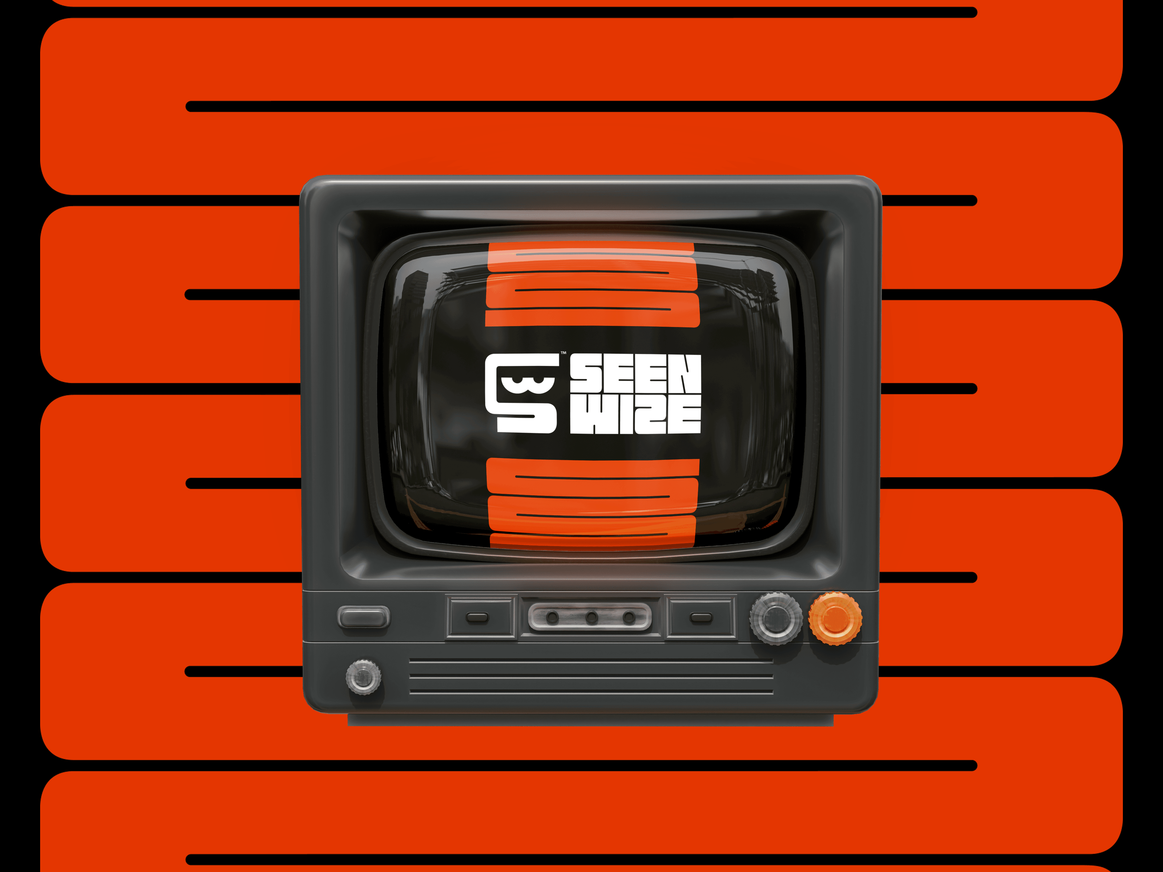 Seenwize branding design