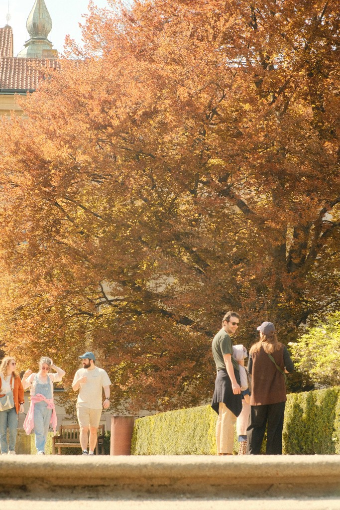 People walk under autumn trees on a sunny day.