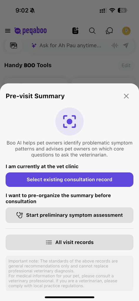 Boo AI Pre-visit summary