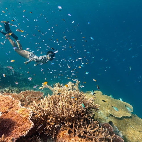 外礁浮潜探险之旅