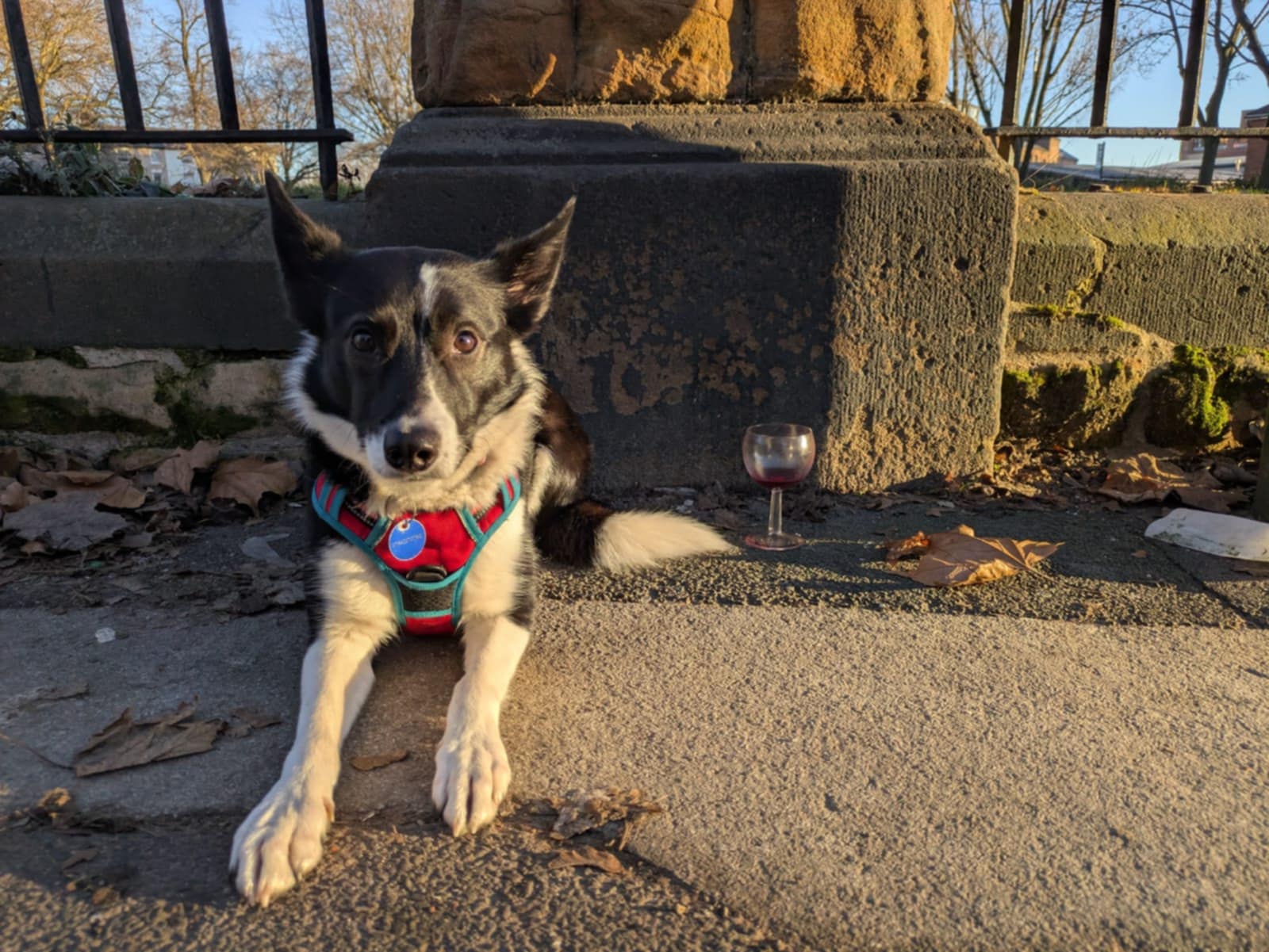 Profile photo of a male avatar