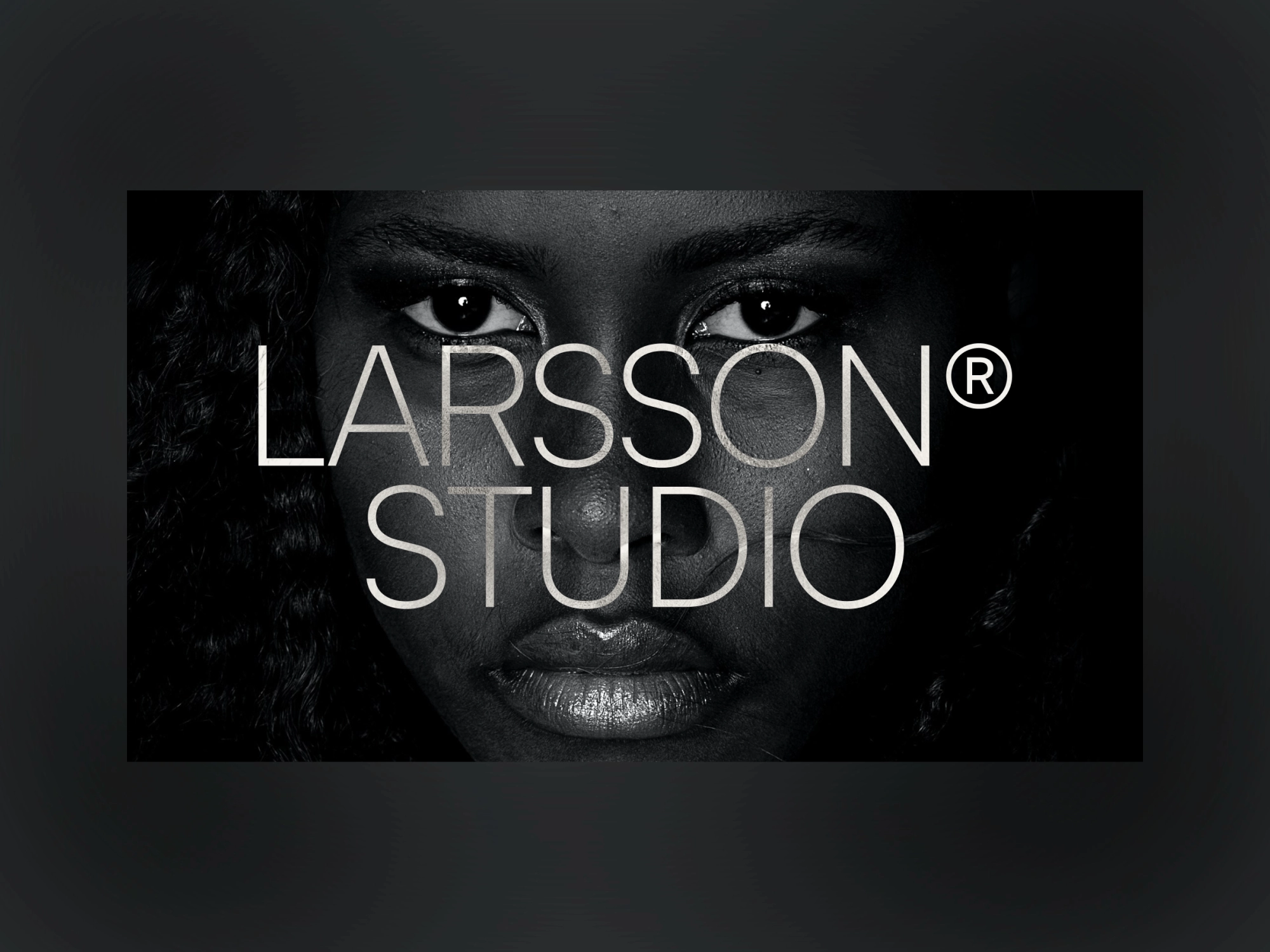 Larsson - Portfolio Website Template - Preview