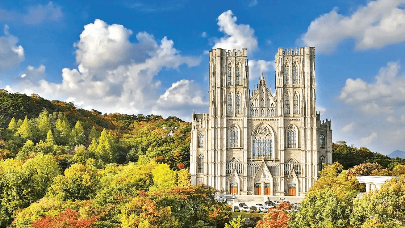 대학별 간판학과, 건국대 수의예과, 성균관대 반도체, 경희대 한의예과, 홍익대 건축학과