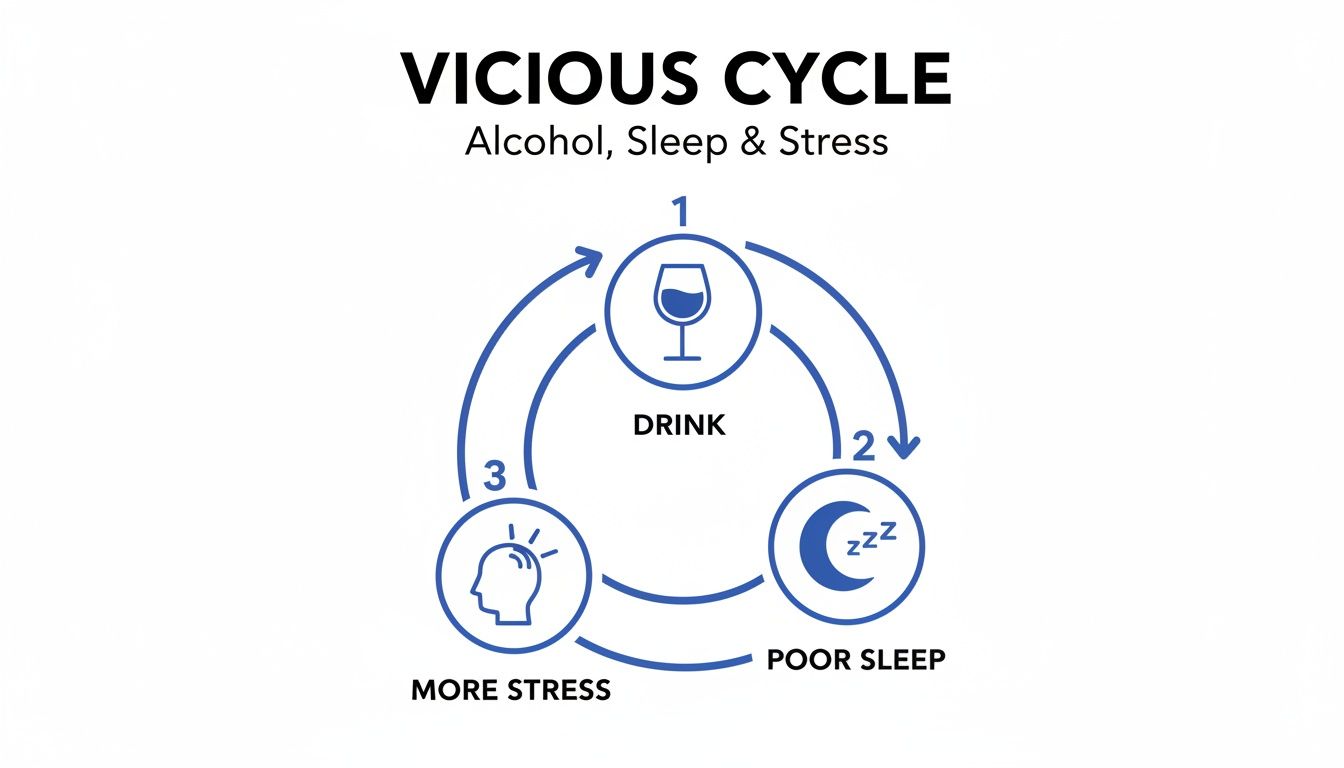 A diagram illustrates the vicious cycle of alcohol consumption leading to poor sleep and increased stress.