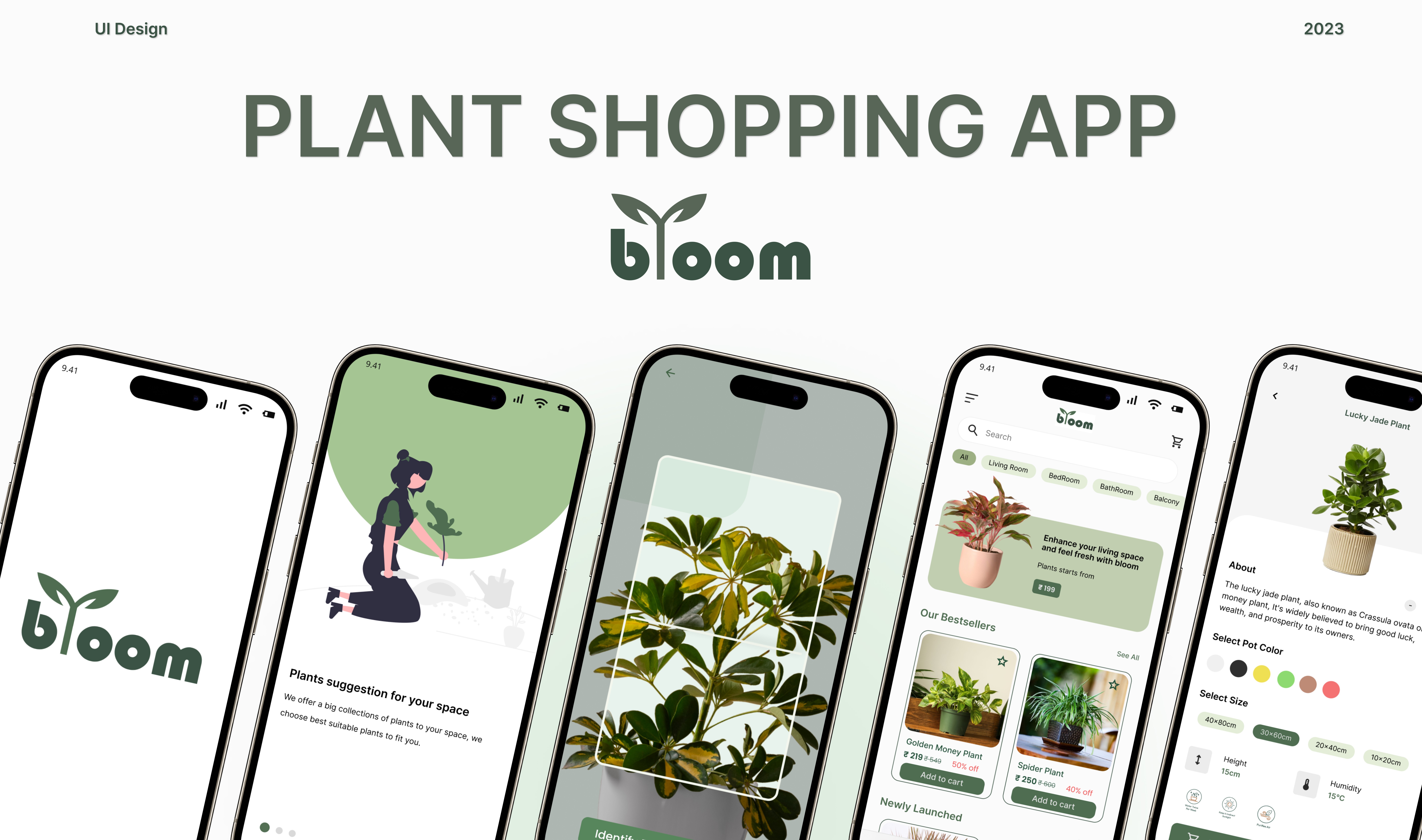 Plywood Artist Potrtfolio made in Framer