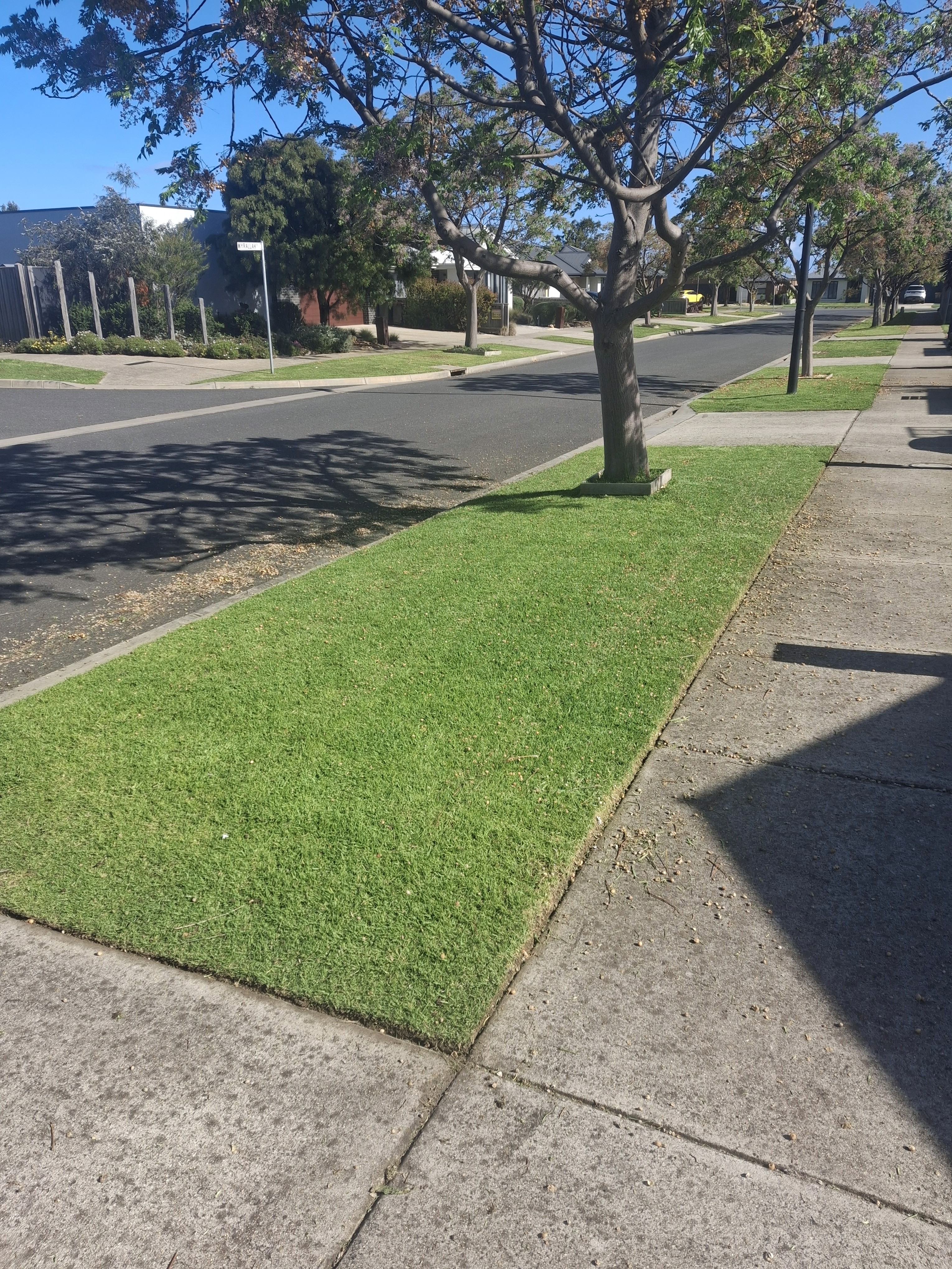 Dazzle Logo with sign vertical