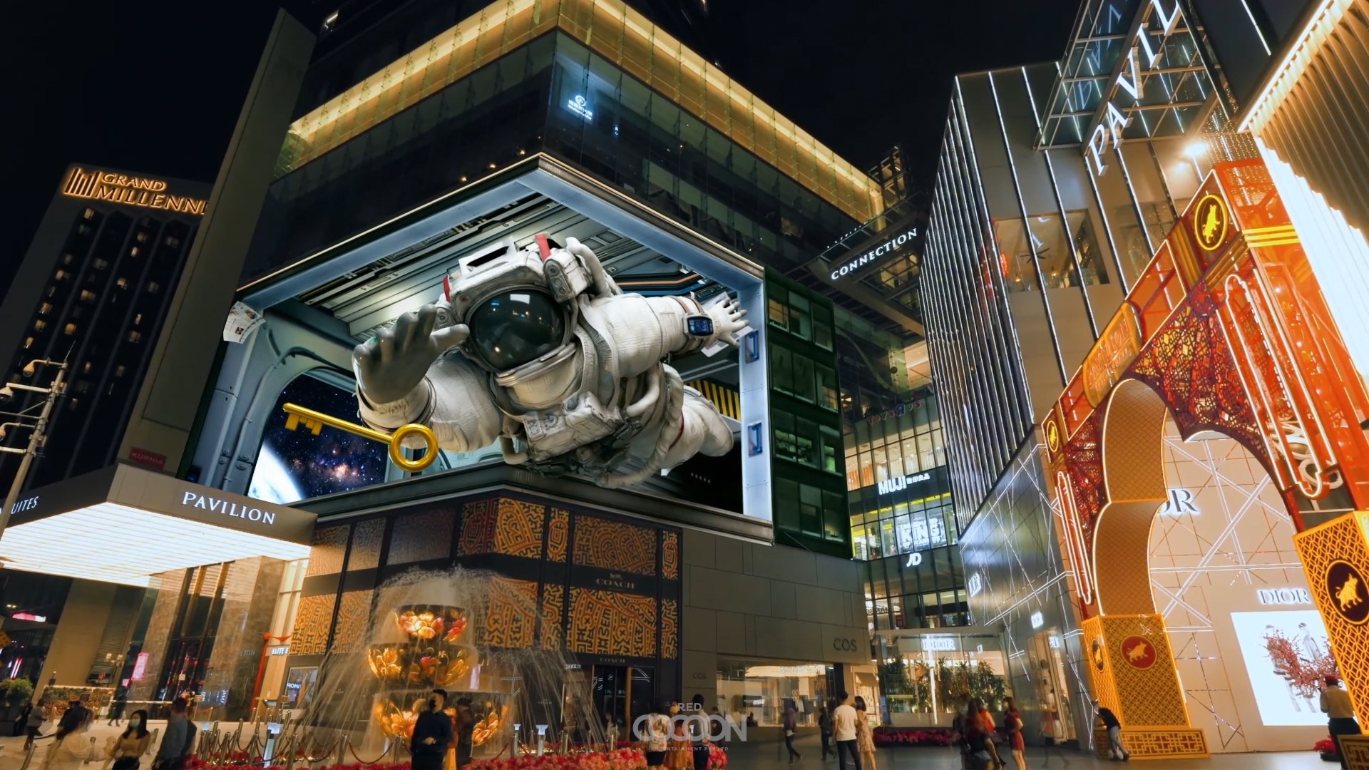 Anamorphic Serice of Red Cocoon