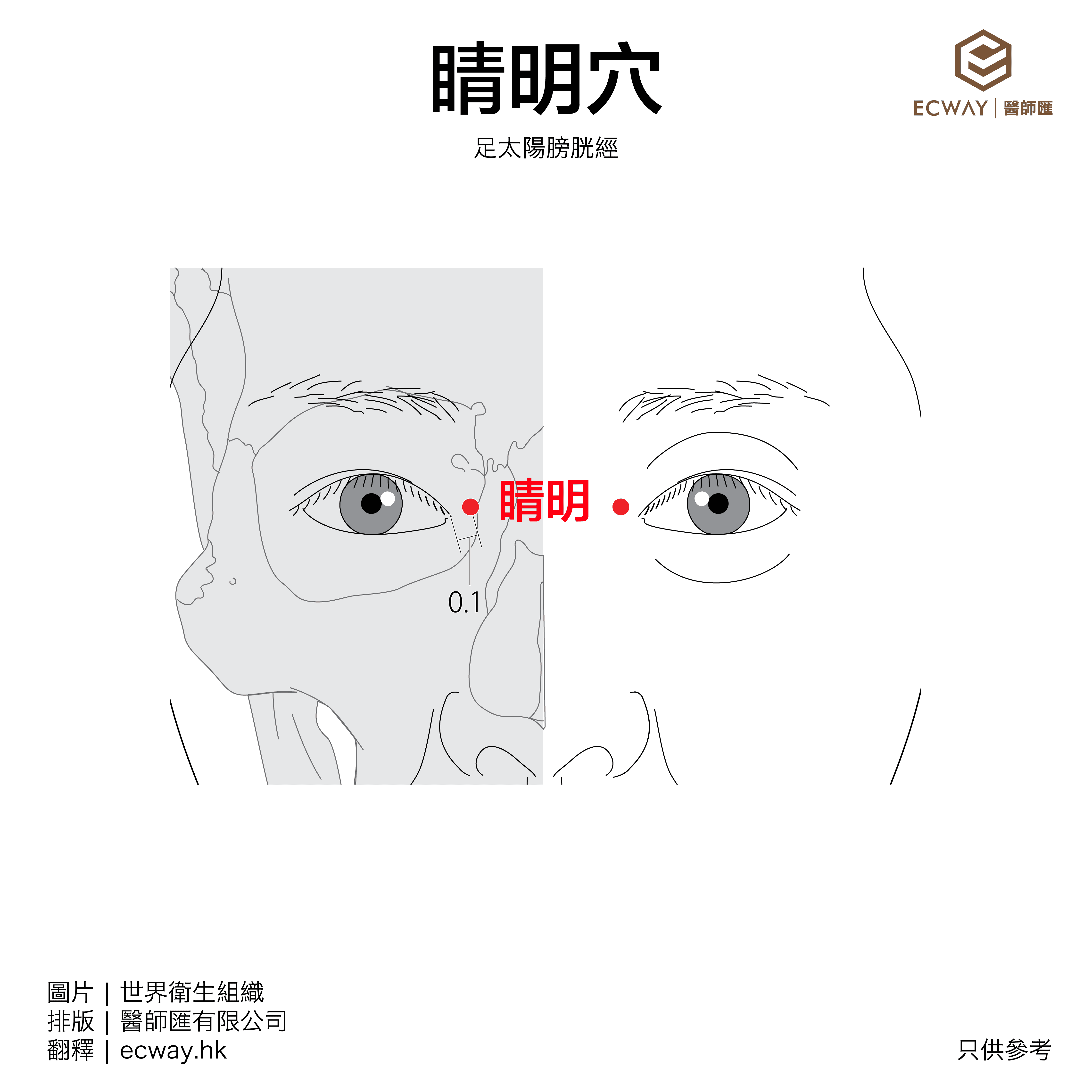 睛明穴