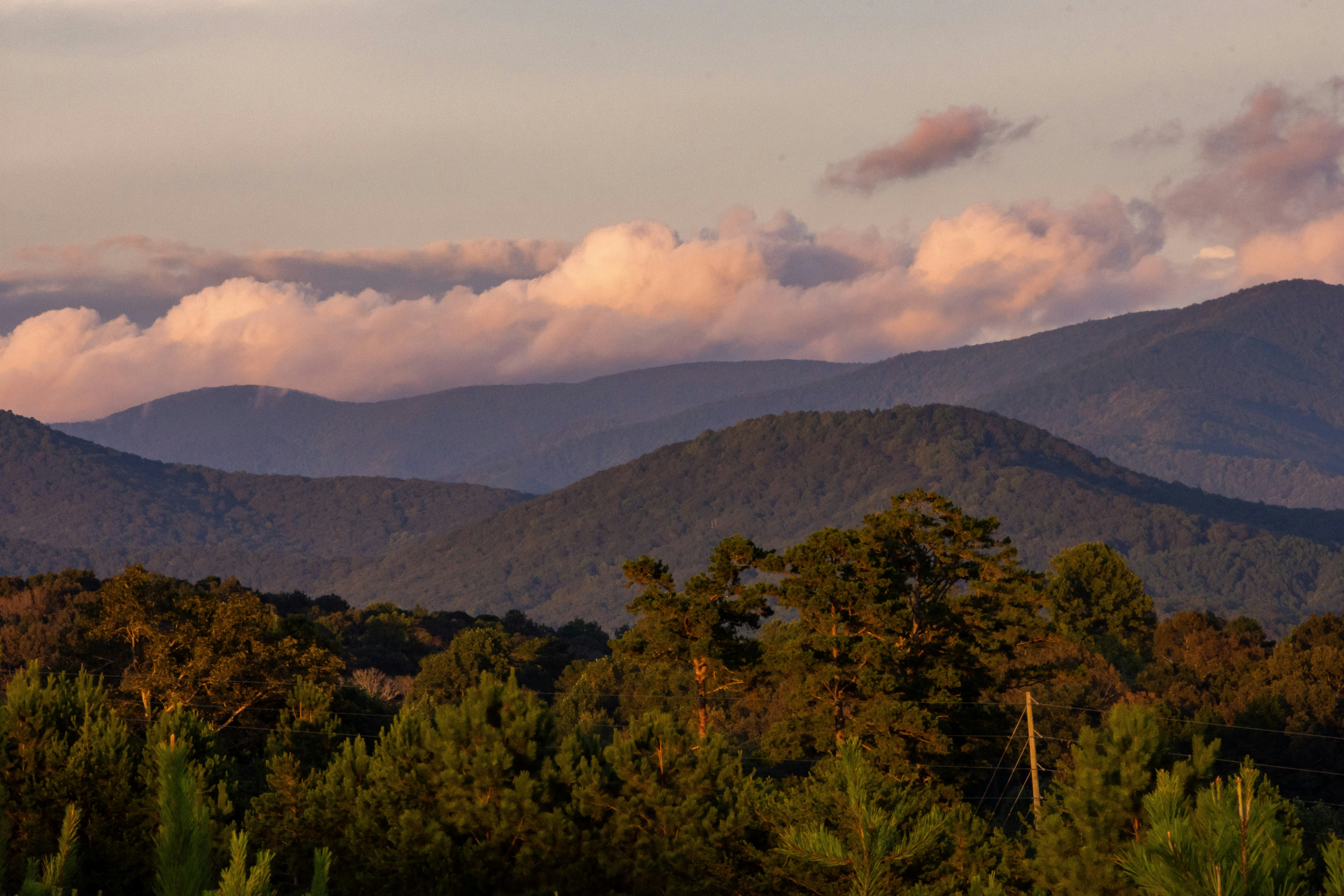 green trees on mountain under white clouds during daytime