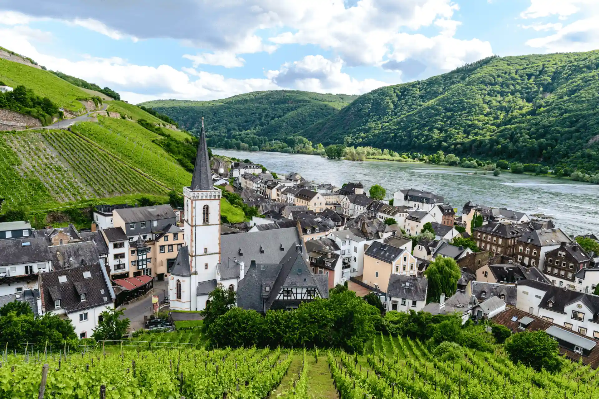 Ansicht eines deutschen Weinbergs mit Dorf und Fluss im Hintergrund, umgeben von grünen Hügeln und blauen Himmel.