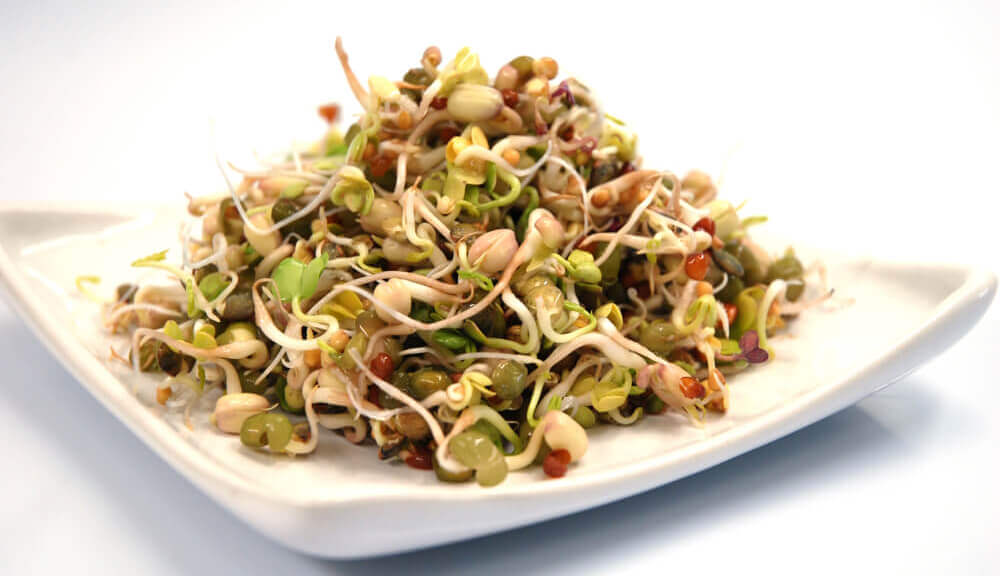 mixture of sprouted moong and chana in a plate