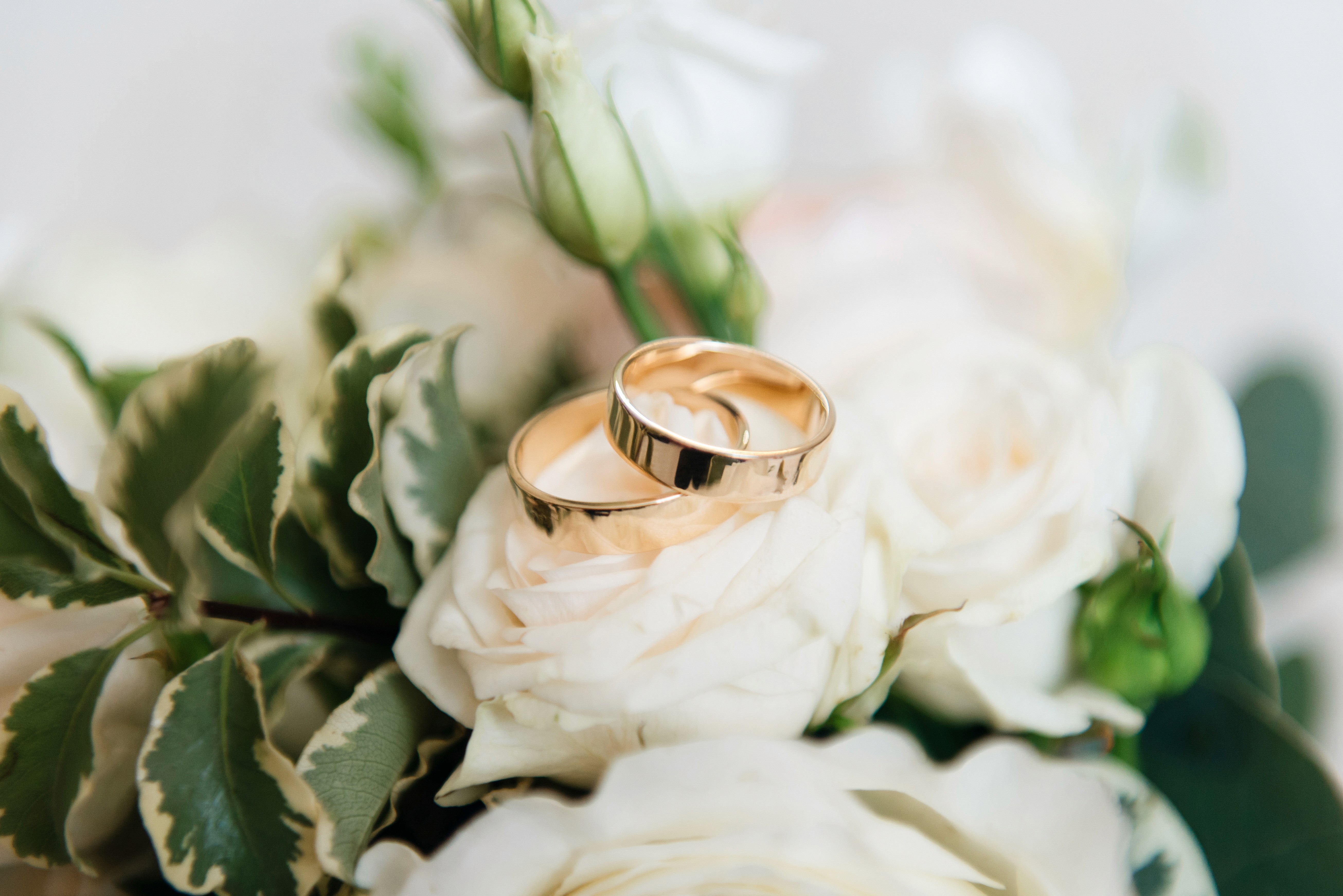 wedding-couple-rings