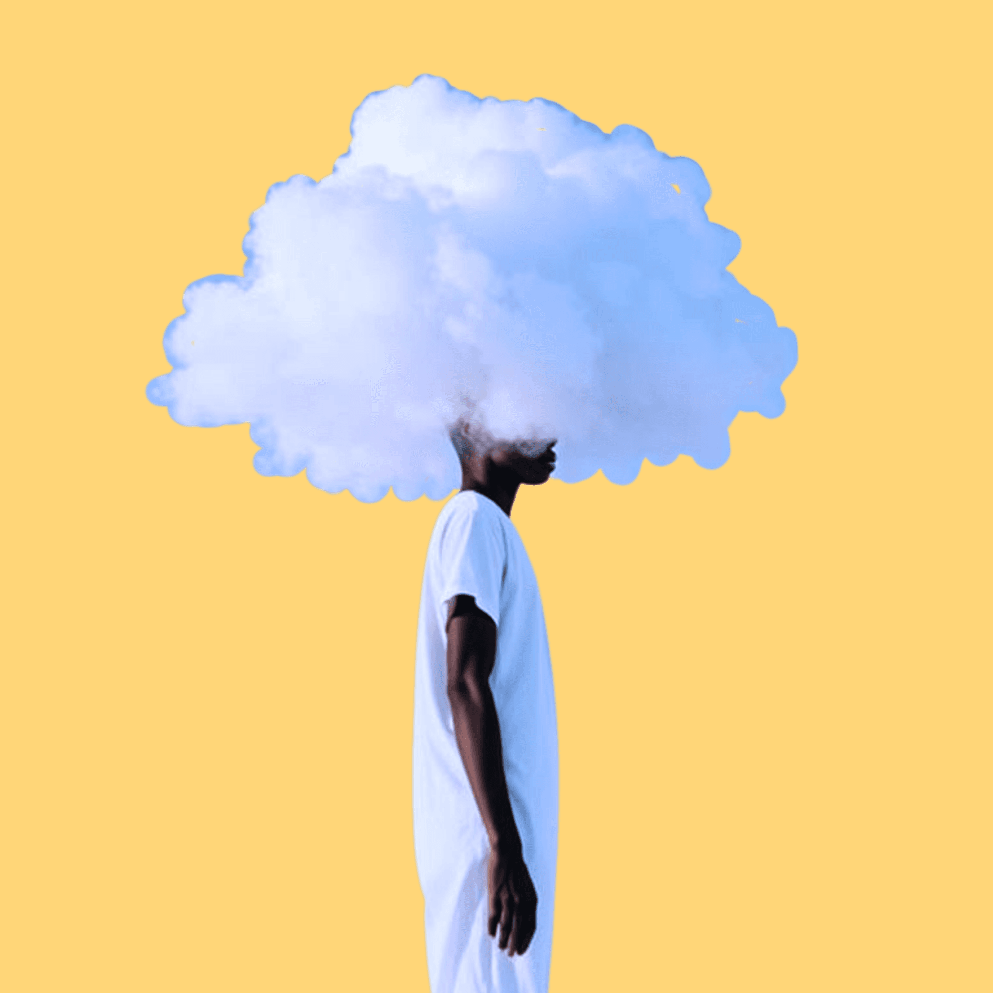 Close-up of lush, dark green leaves, some glossy and wet, against a muted background.