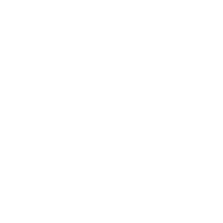 Winora Logo