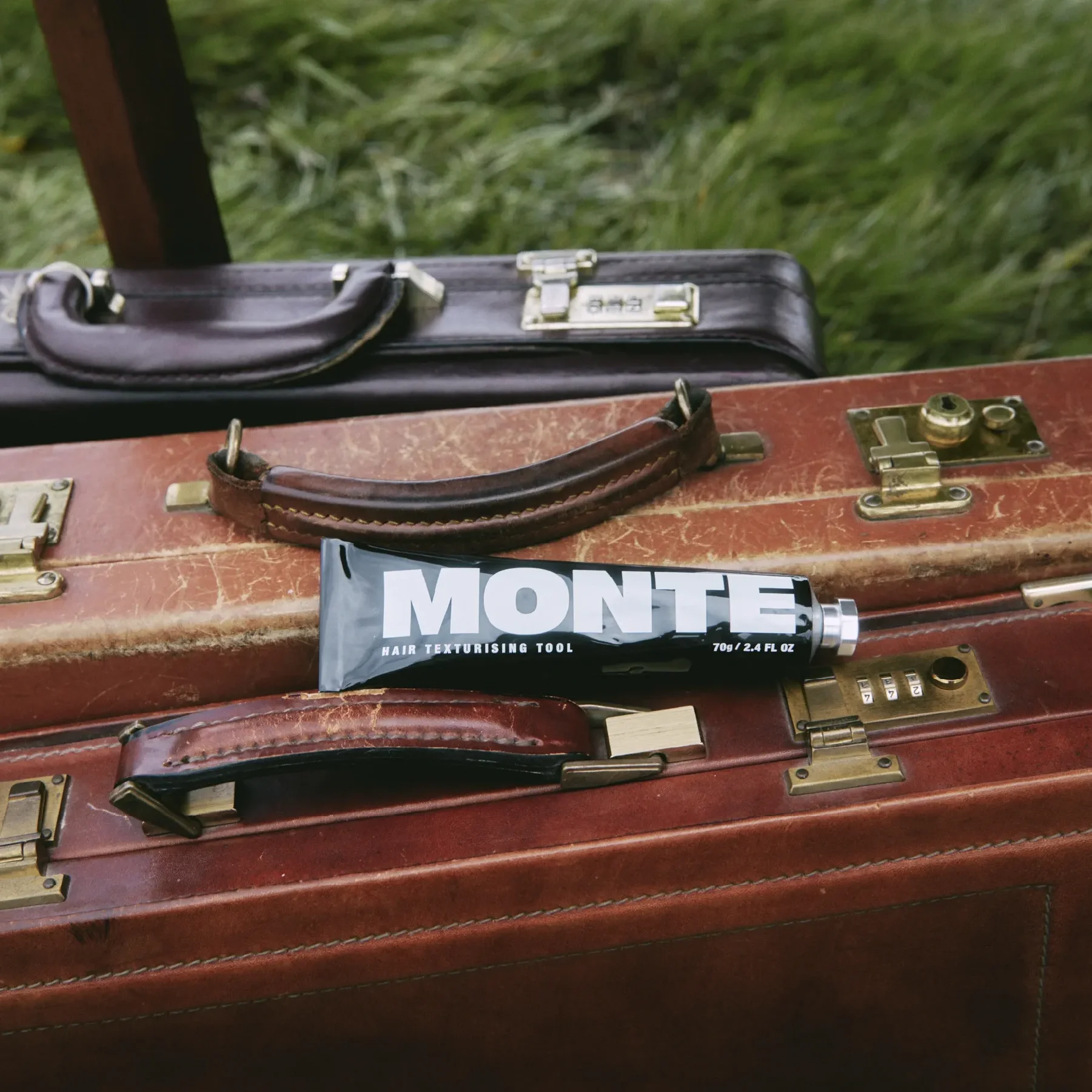 Monte imagery