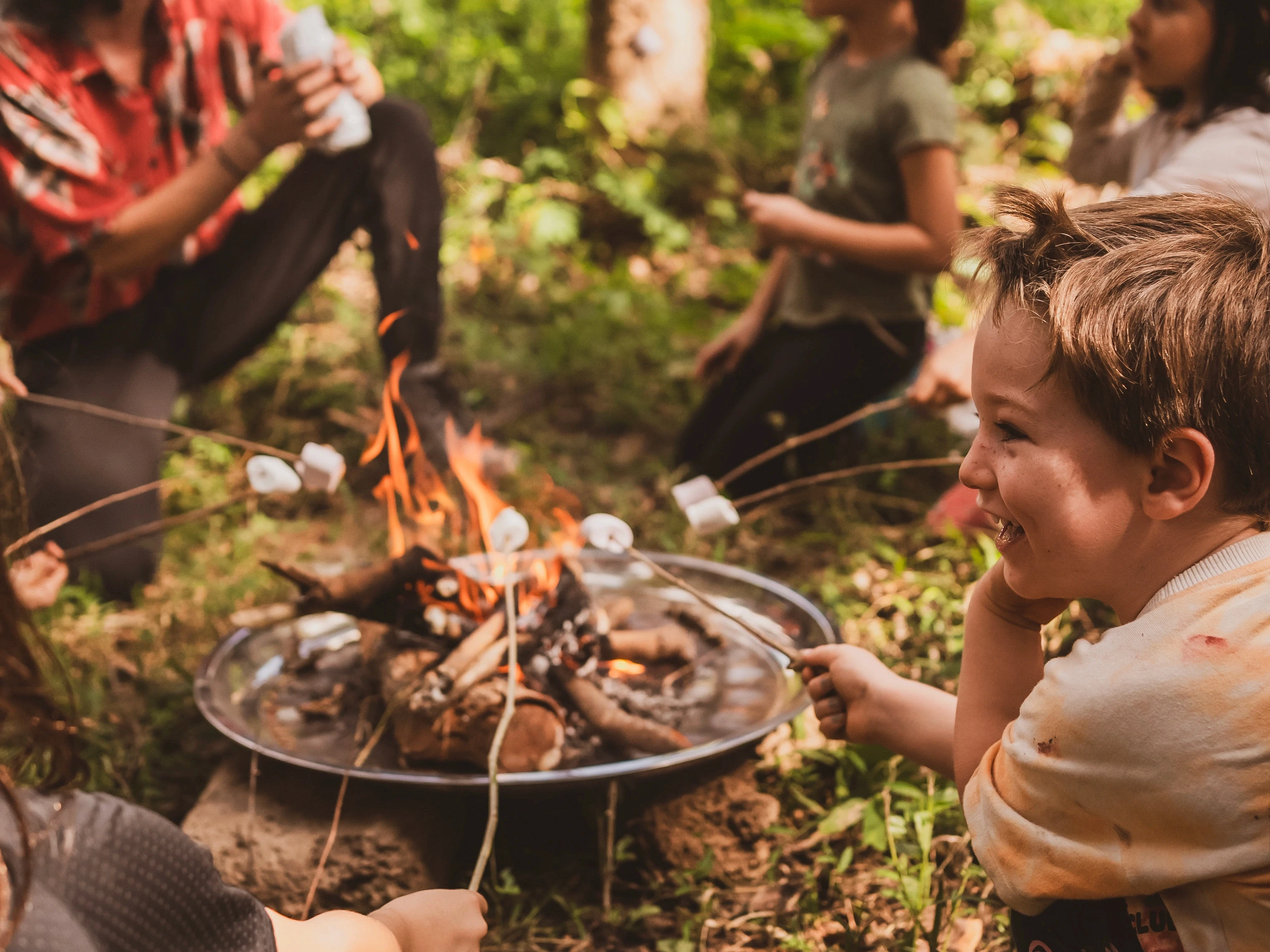 Children roasting marshmallows on sticks over a small campfire in a wooded area.