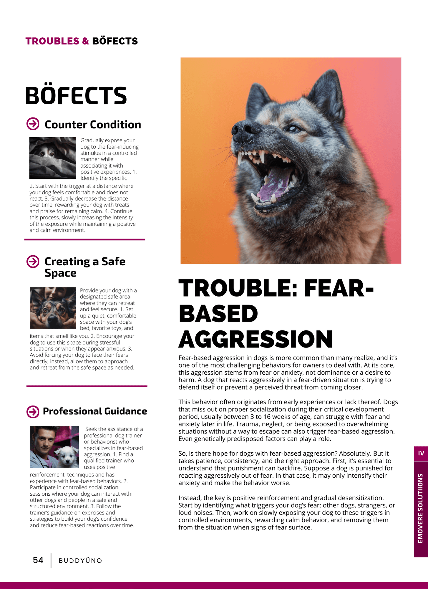 buddyuno, dog magazine, page 48