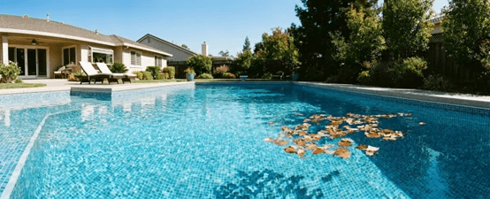 Pool Skimmer vs. Robotic Pool Cleaner