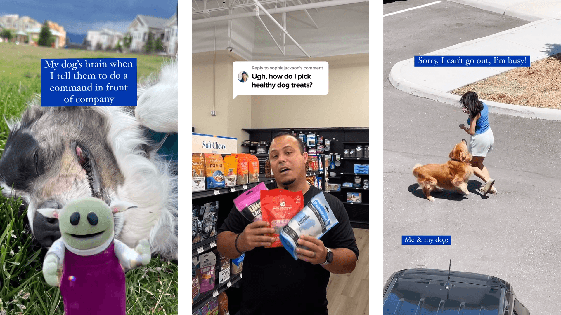 Pet Supermarket Work Sample