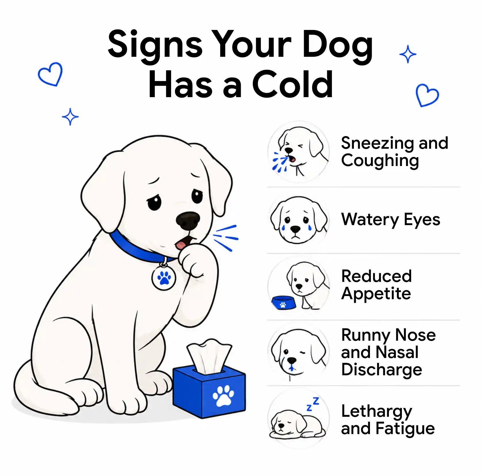 Signsn your dog has a cold.