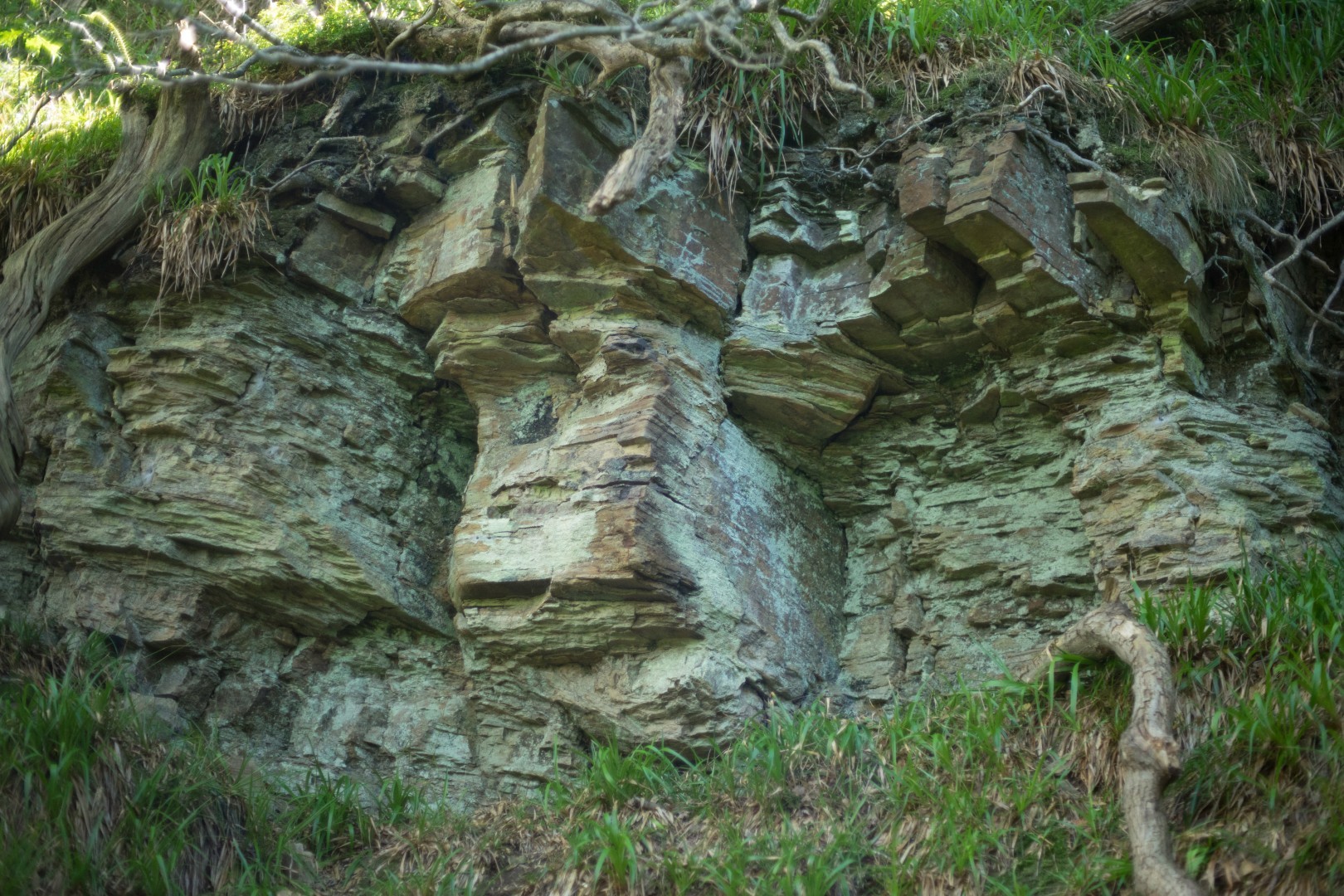 A rock face at Hackfall