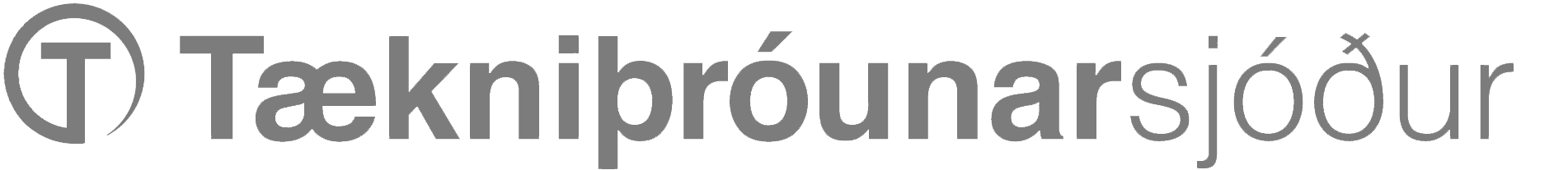 Icelandic Technology Development Fund logo