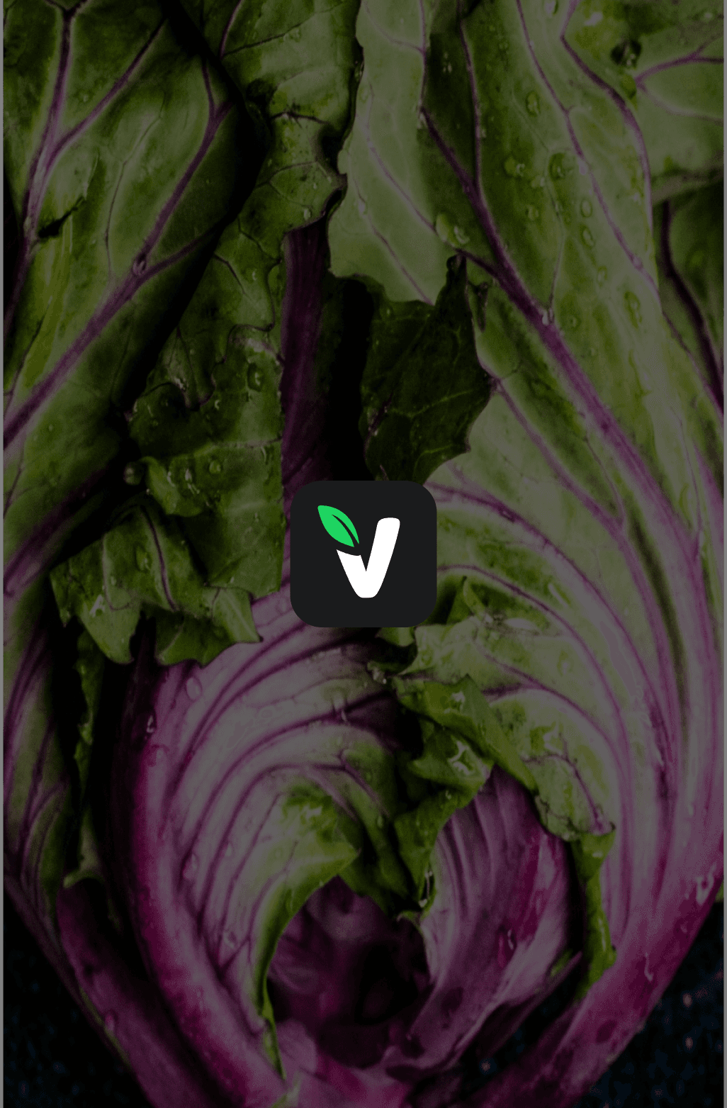 Veganisi Logo Leaf