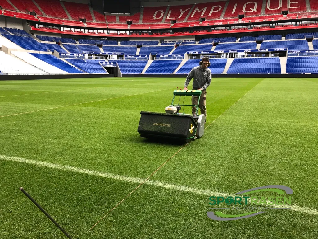 Spindelmäher versus und Sichelmäher