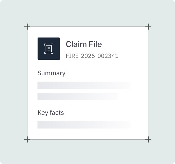 Claim file summary and key facts placeholder