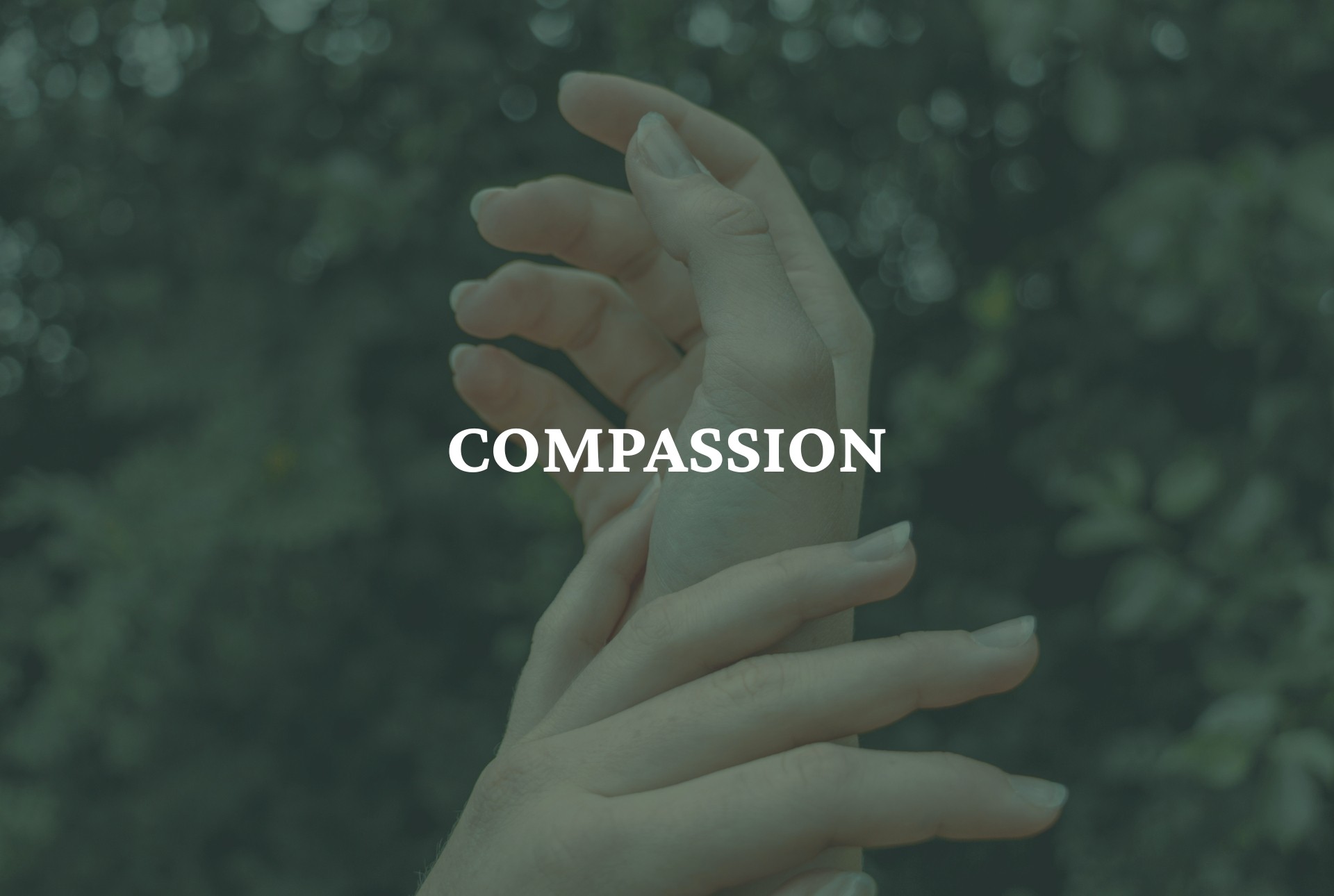 Compassion depicted through gentle hands in nature
