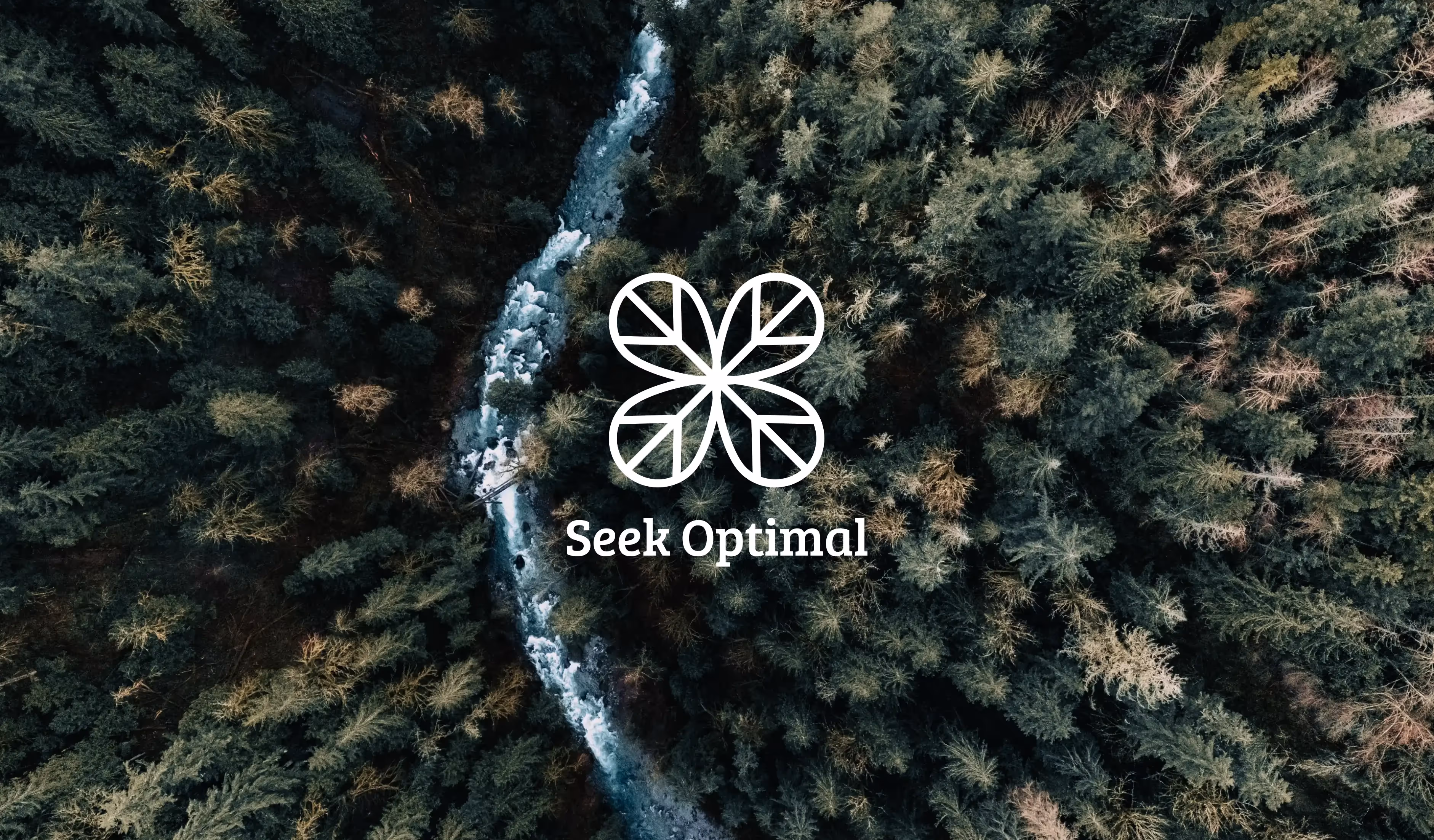 Seek Optimal architectural project visual featuring structural and environmental details
