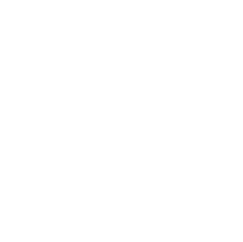 Step Icon