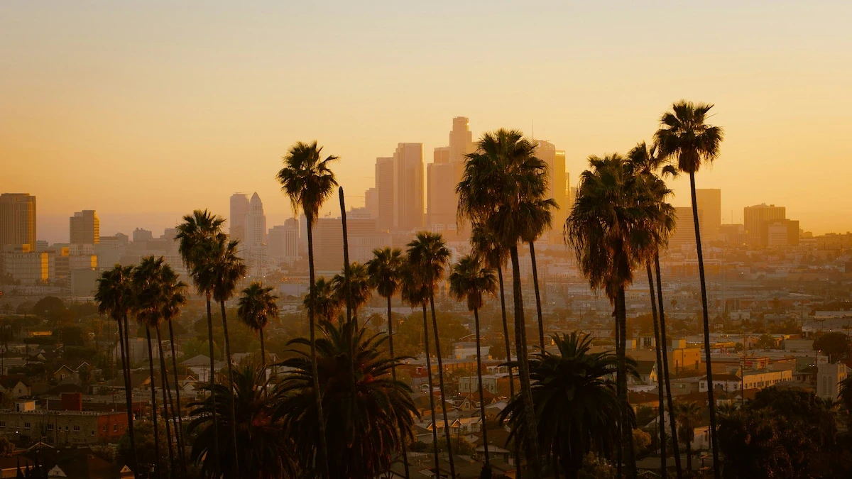 Downtown Los Angeles skyline at sunset, framed by tall palm trees and warm golden light.