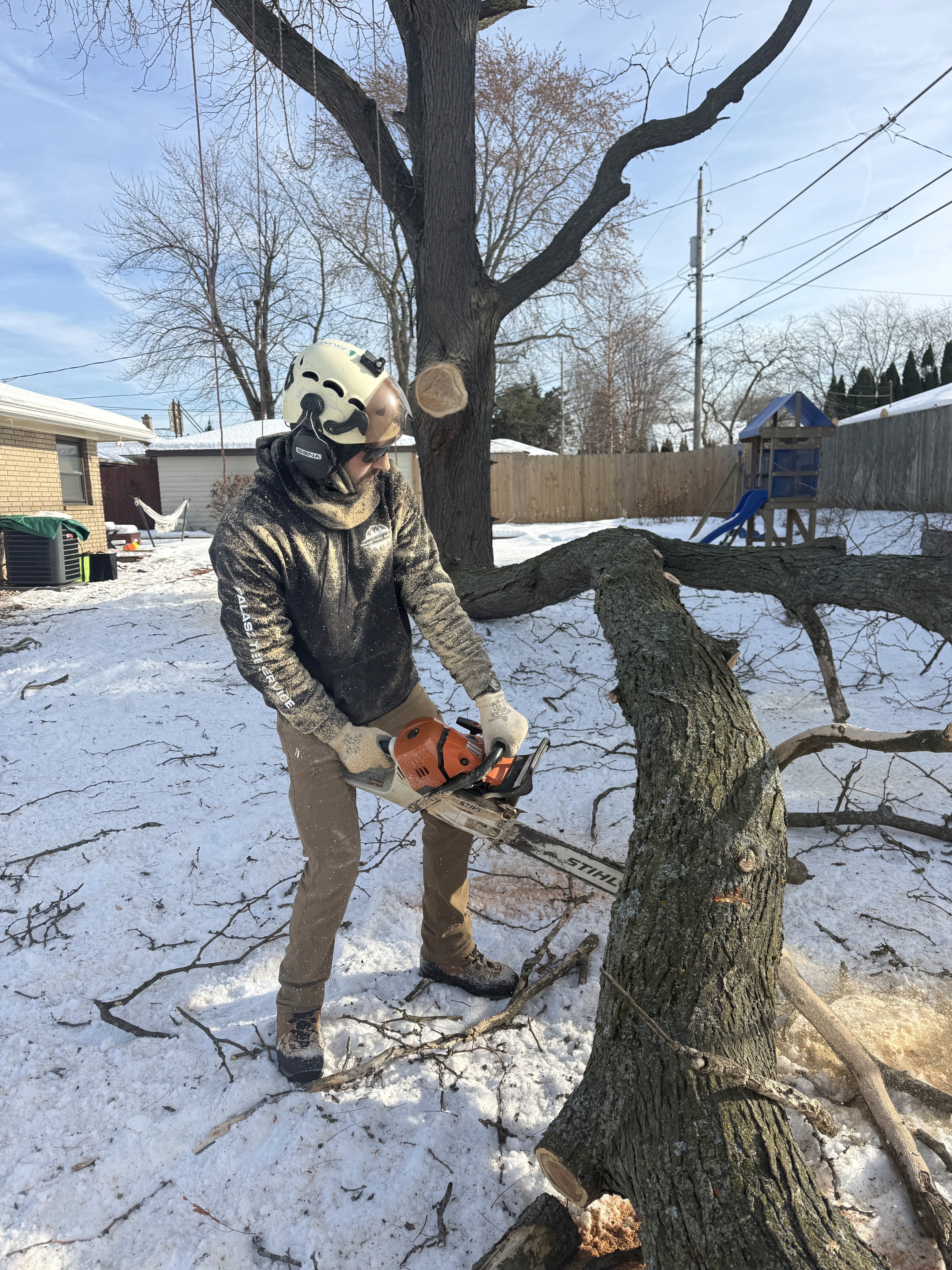 Tree removal job in winter with snow covering the ground in a Wisconsin backyard